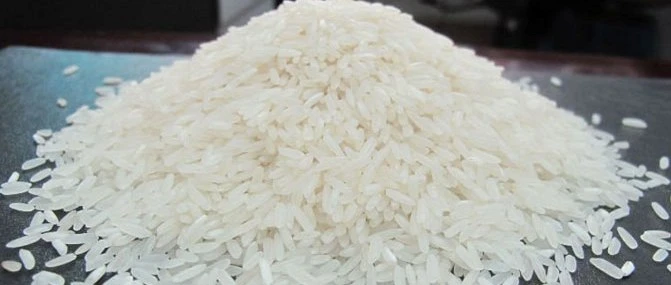 IR 36 (Non-Basmati Rice)