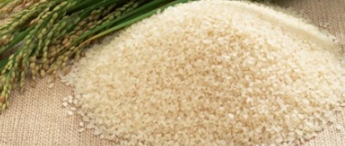 Swarna Rice